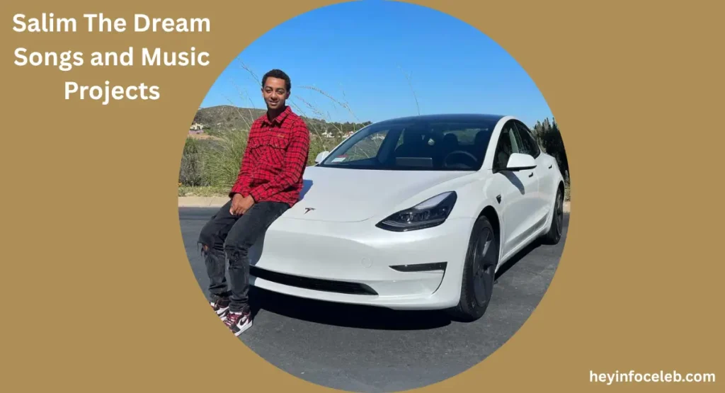 salim-the-dream-songs-and-music-projects